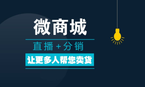 微商分銷系統的主要功能有哪些？