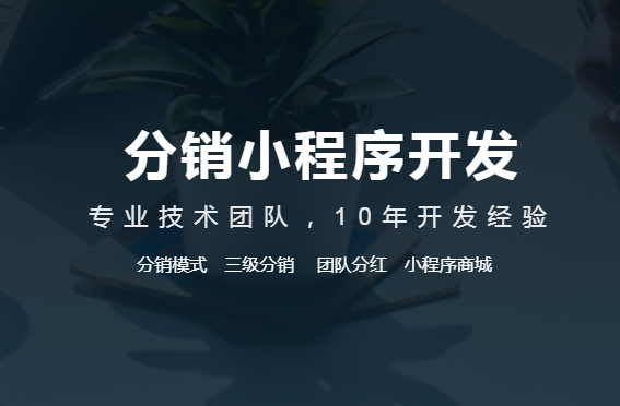 分銷軟件系統有哪些功能？