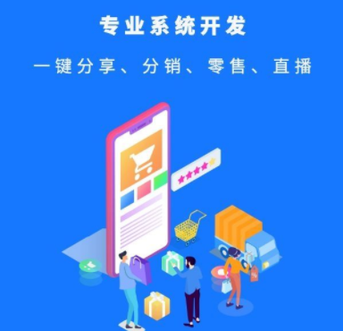 分銷系統開發的過程有哪些？